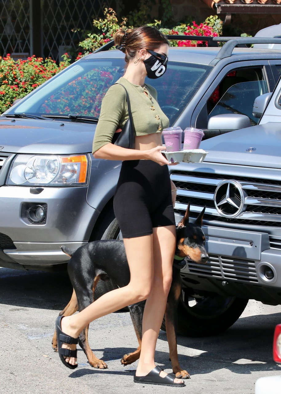 Kendall Jenner Tights Out With Her Dog Malibu