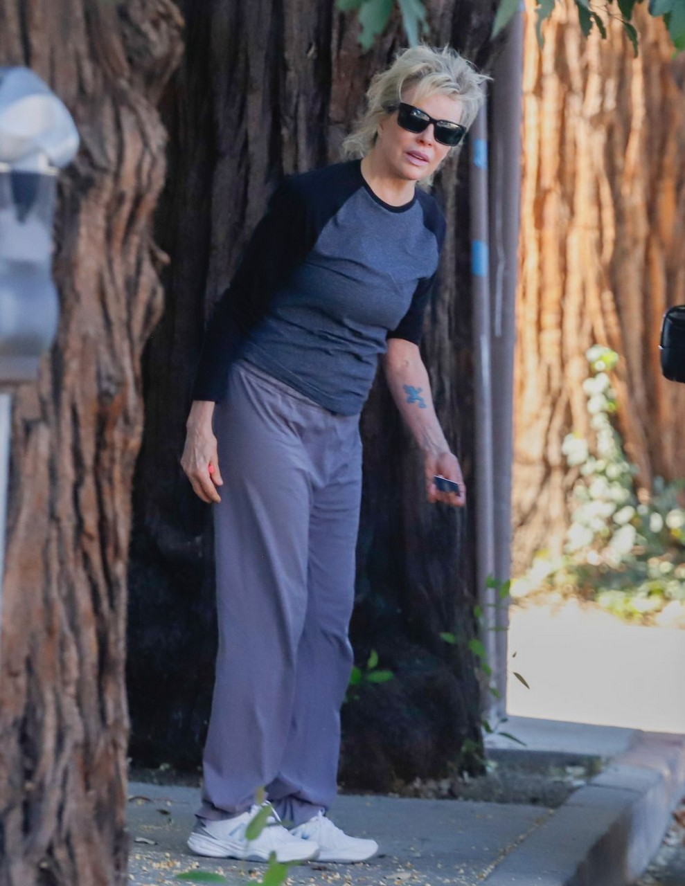 Kim Basinger Out Walking Los Angeles