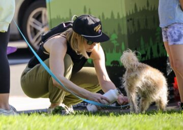 Kristen Bell Out With Her Dog Griffith Park Los Feliz