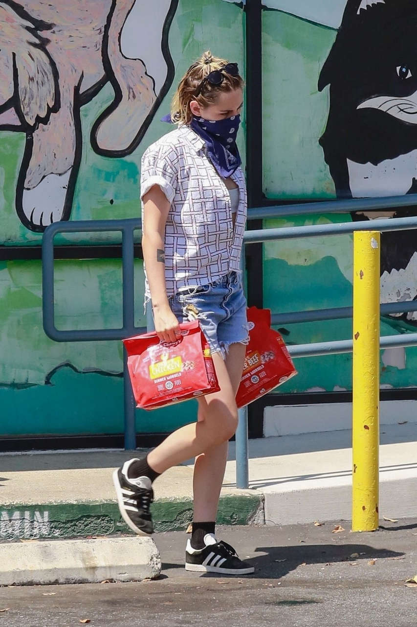 Kristen Stewart Dlan Meyer Shopping For Pets Only Los Feliz