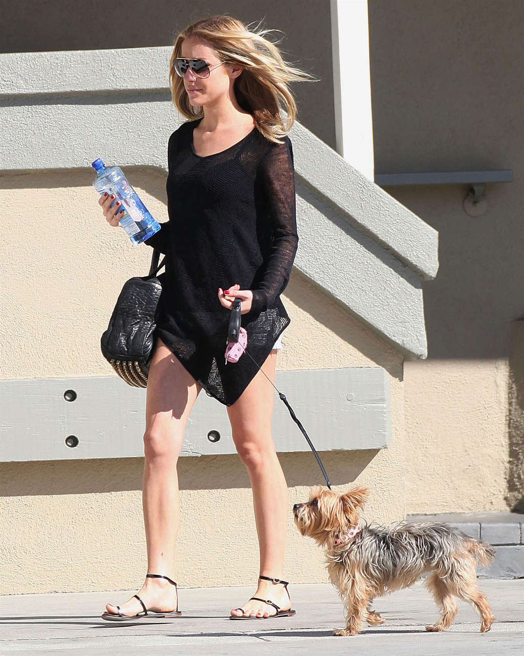Kristin Cavallari Take Puppy To Animal Clinic