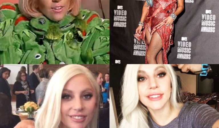 Lady Gaga Has Made A Pretty Nice Transformation (1 photo)