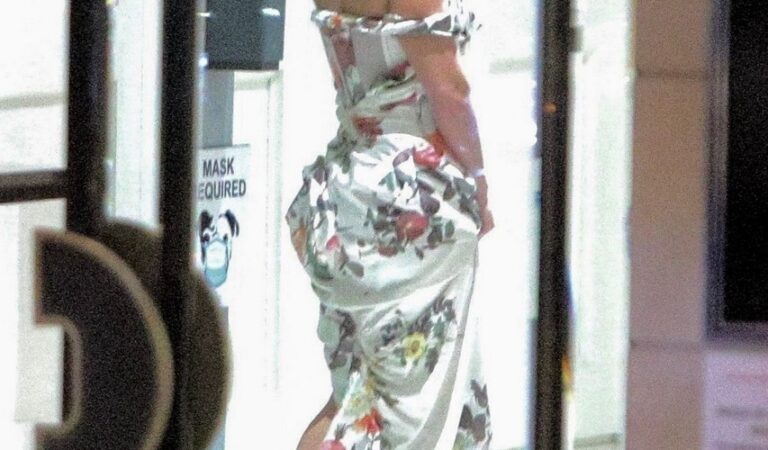 Lady Gaga Out For Dinner 1 Hotel West Hollywood (7 photos)