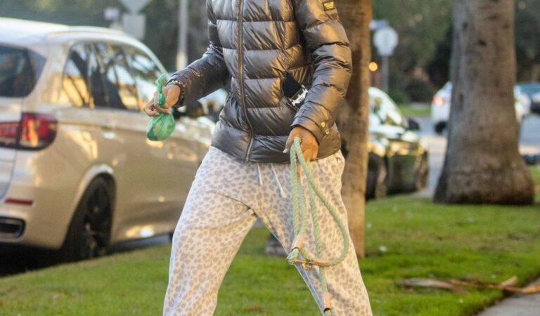 Lady Victoria Hervey Out With Her Dog Los Angeles (7 photos)