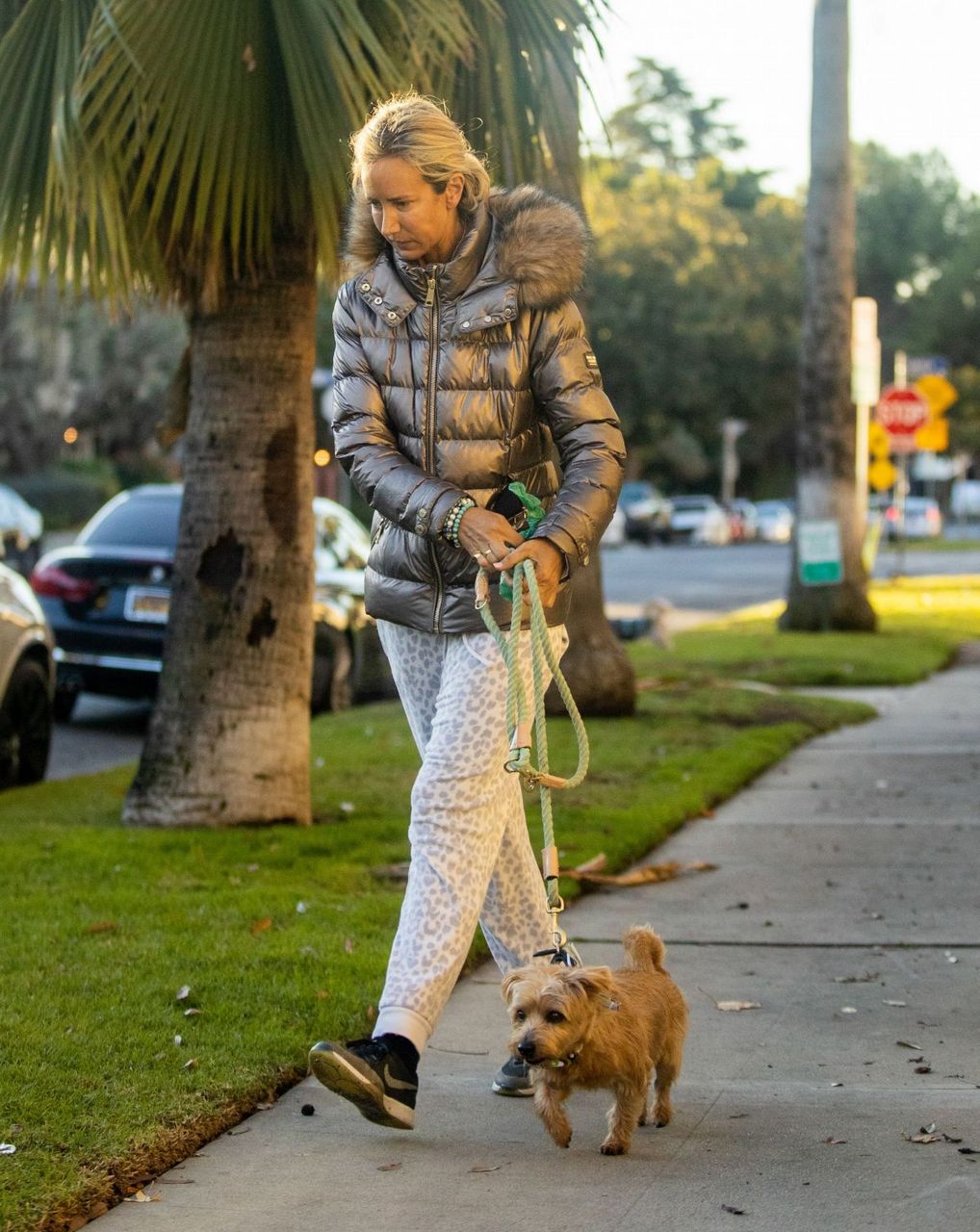 Lady Victoria Hervey Out With Her Dog Los Angeles