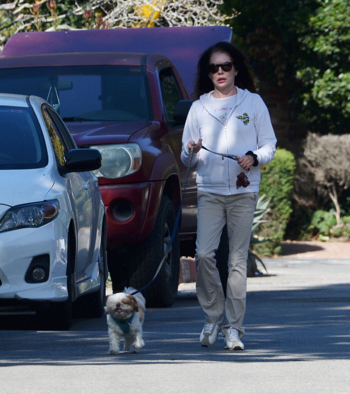 Lara Flynn Boyle Out With Her Dog Los Angeles