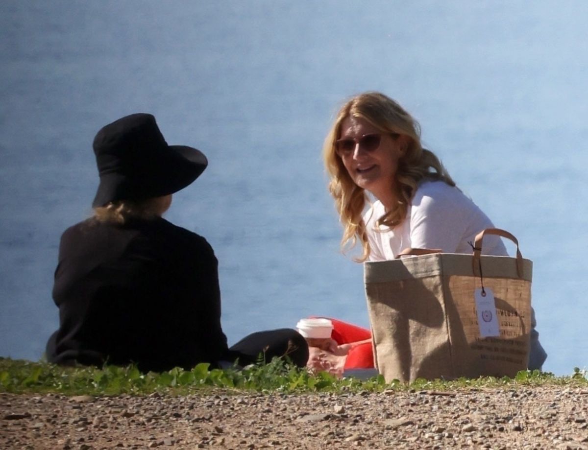 Laura Dern Her Birthday Picnic Lunch With Friend Los Angeles