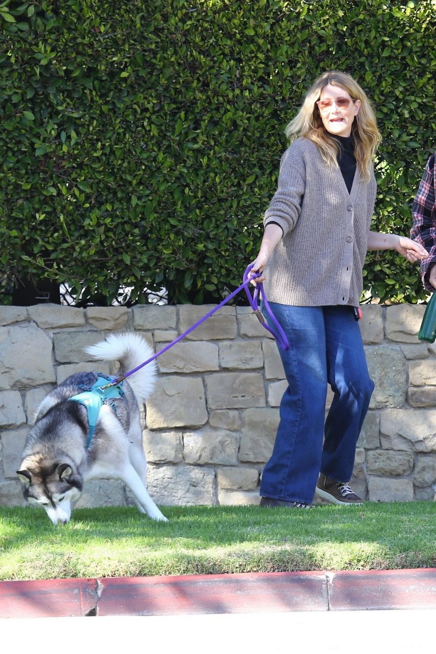 Laura Dern Out For Morning Walk Brentwood