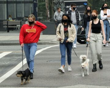 Lili Reinhart Camila Mendes Madelaine Petsch Out With Their Dogs Vancouver