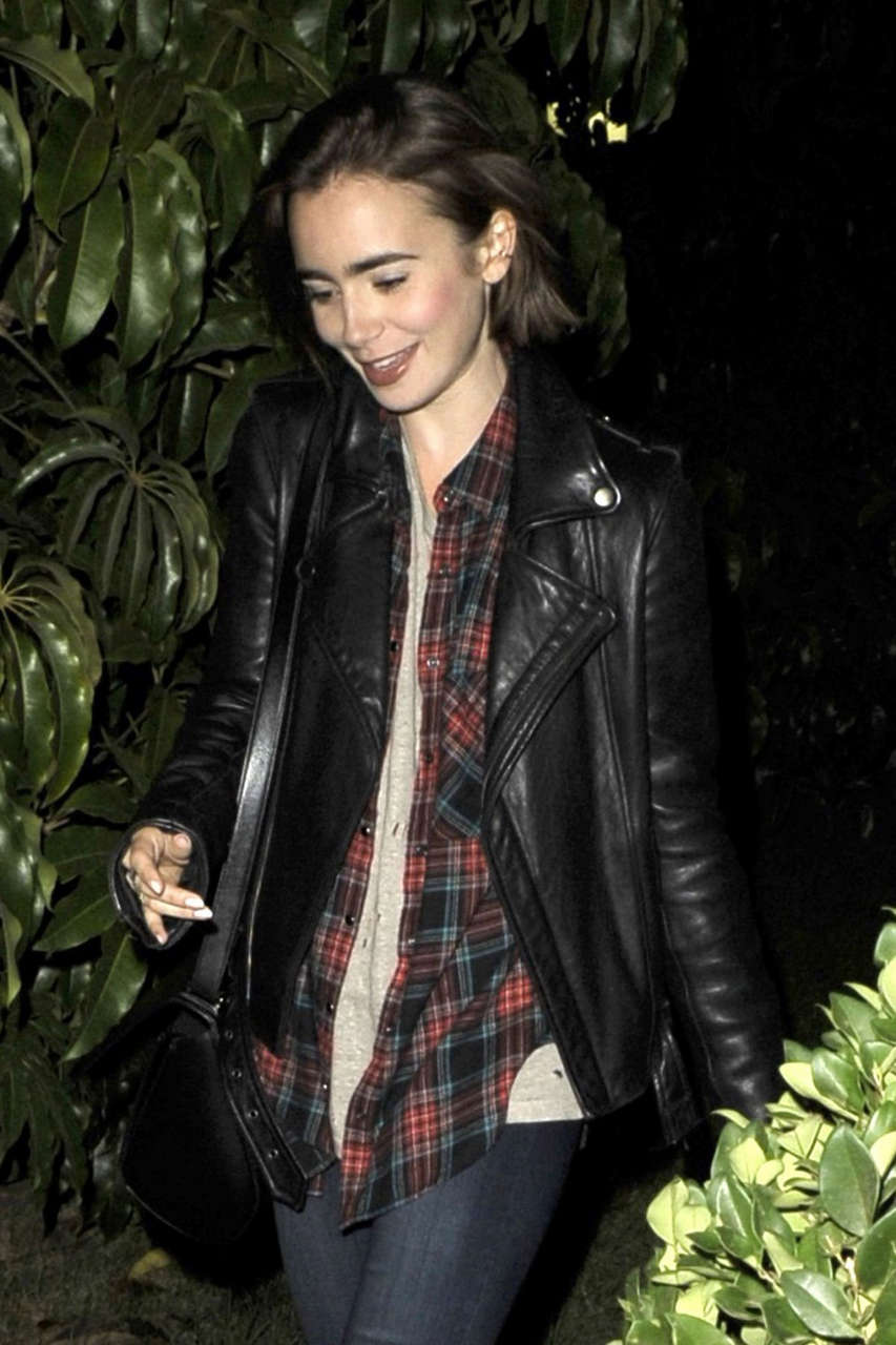 Lily Collins Leaves Sam Smith Concert Los Angeles