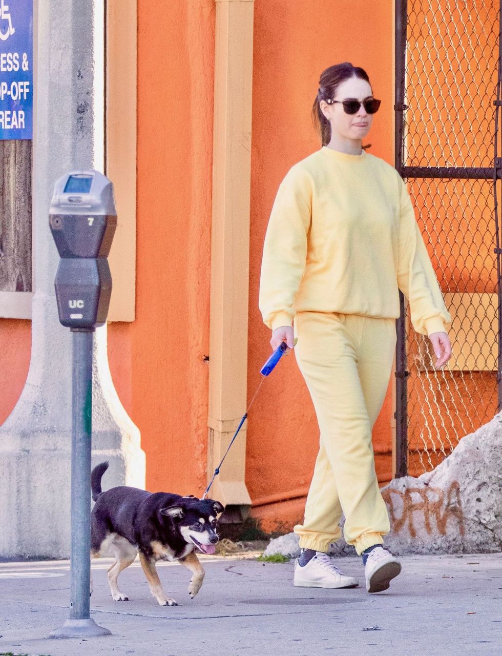 Lily James Out With Her Dog West Hollywood