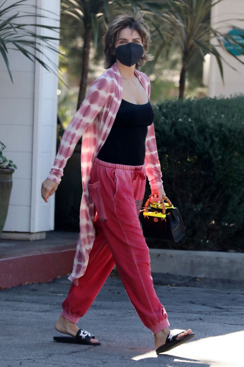 Lisa Rinna Out For Lunch Bel Air