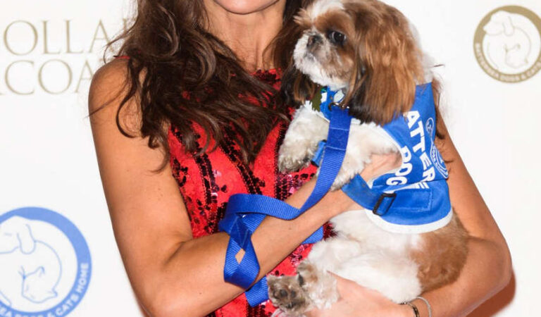 Lizzie Cundy Battersea Dogs Collars Coats Gala London (8 photos)