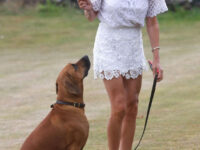 Lizzie Cundy Out With Her Dog London