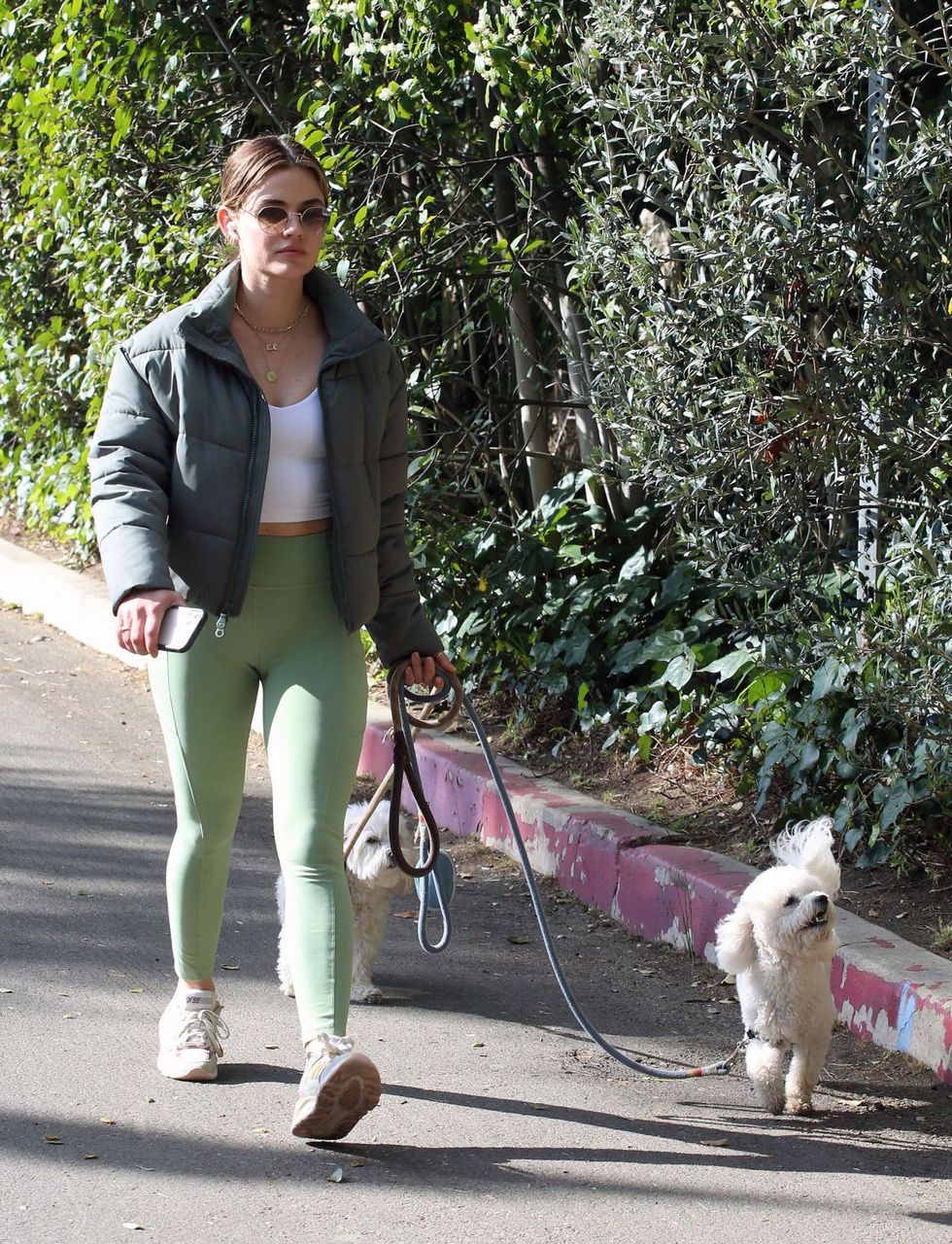 Lucy Hale Out Hiking With Her Dogs Los Angeles