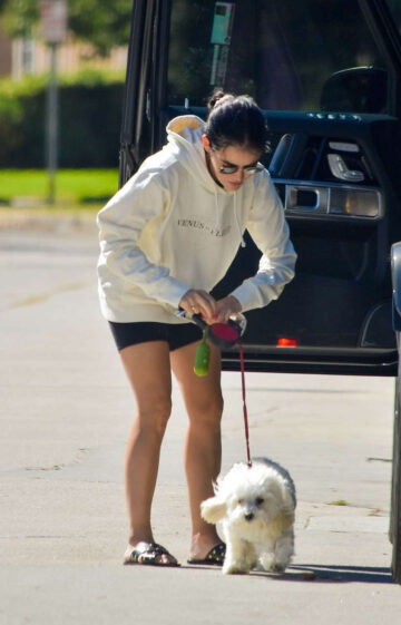Lucy Hale Out With Elvis Studio City