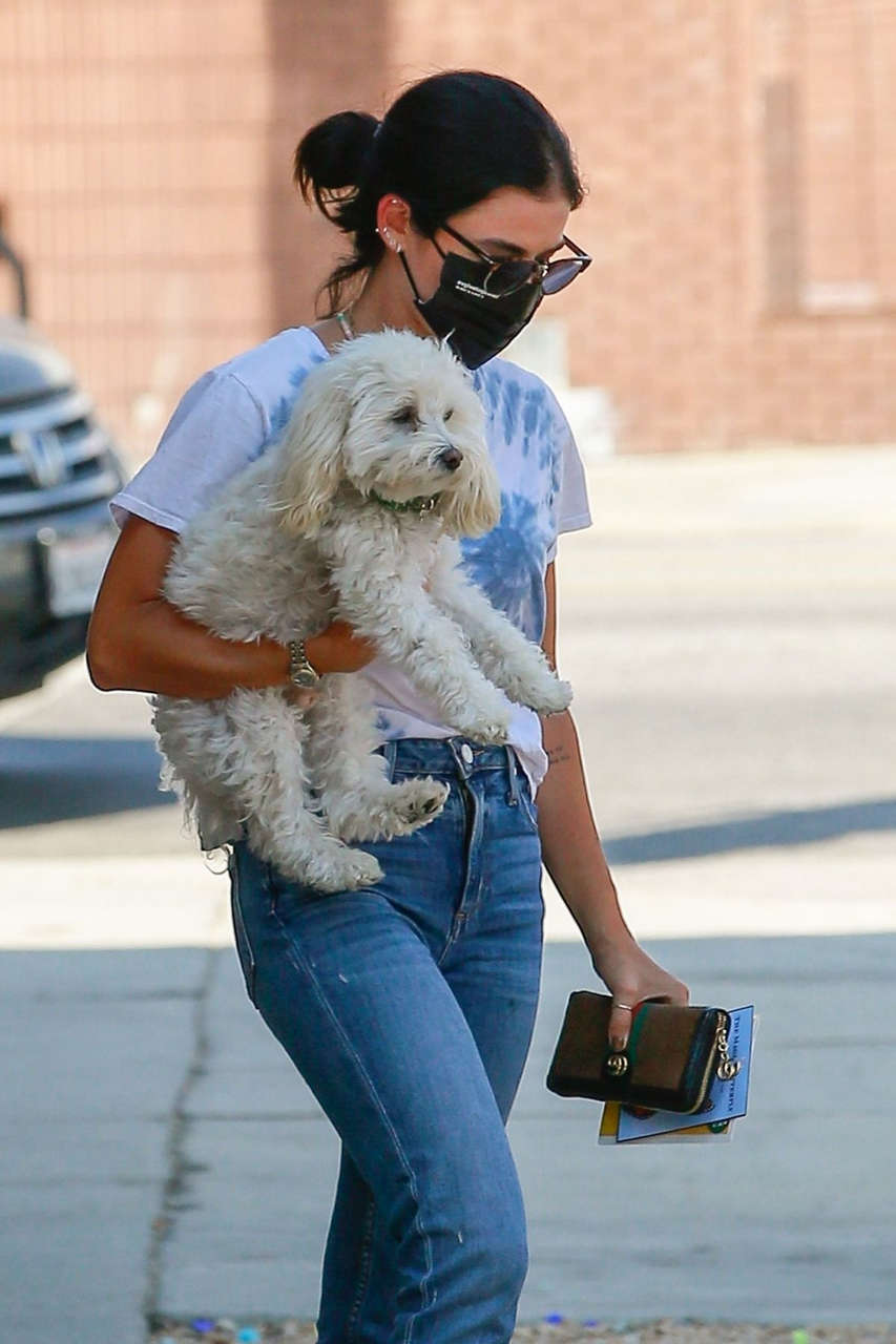 Lucy Hale Out With Her Dog Sherman Oaks