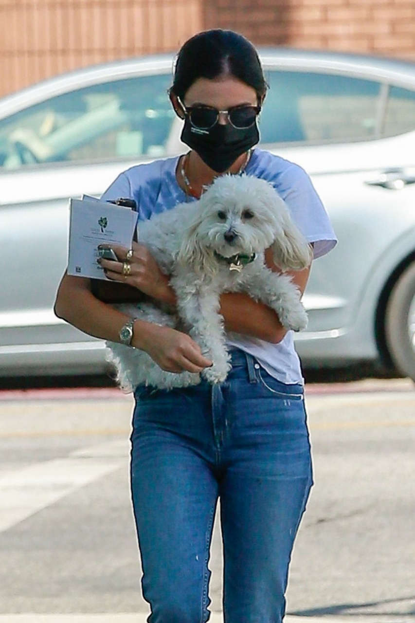 Lucy Hale Out With Her Dog Sherman Oaks