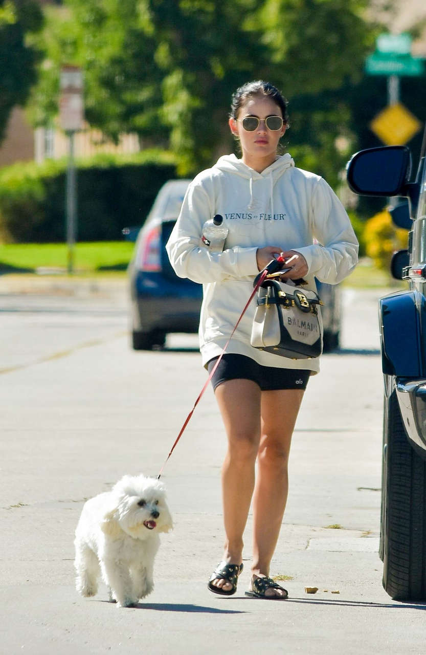 Lucy Hale Out With Her Dog Studio City