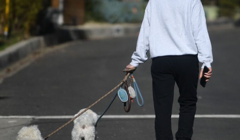 Lucy Hale Out With Her Dogs Hollywood Hills (7 photos)