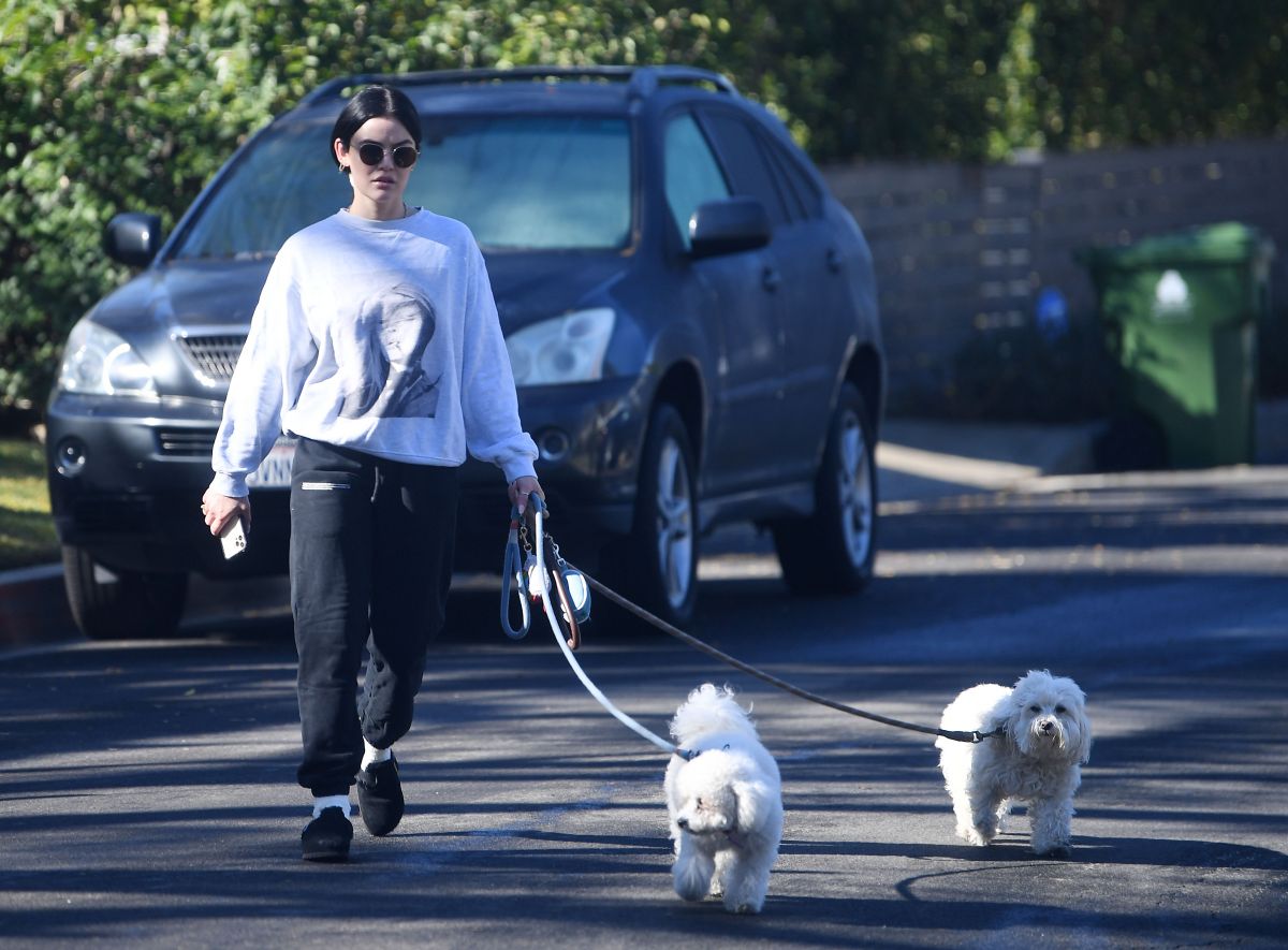 Lucy Hale Out With Her Dogs Hollywood Hills