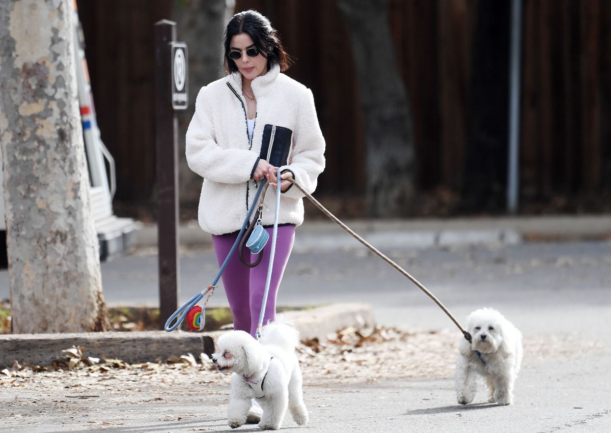 Lucy Hale Out With Her Dogs Los Angeles