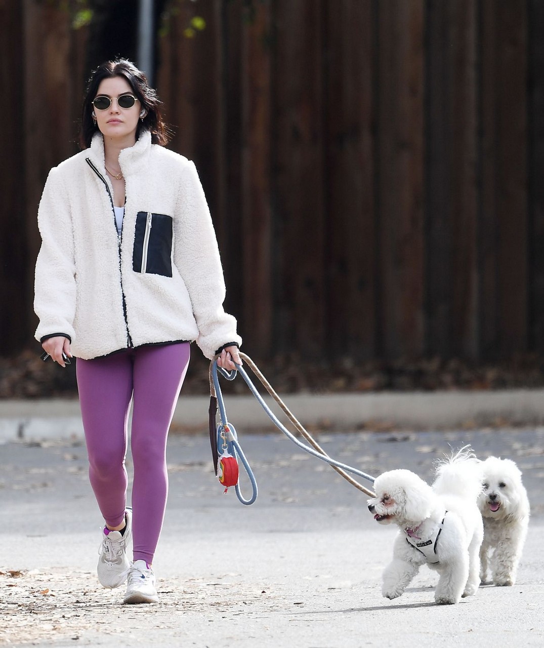 Lucy Hale Out With Her Dogs Los Angeles