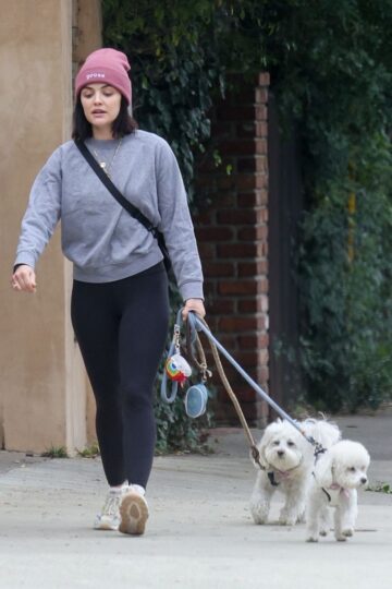 Lucy Hale Out With Her Dogs Los Feliz