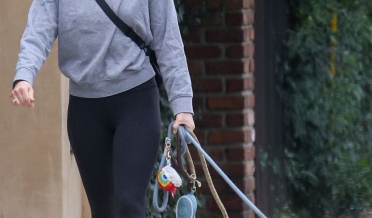 Lucy Hale Out With Her Dogs Los Feliz (7 photos)