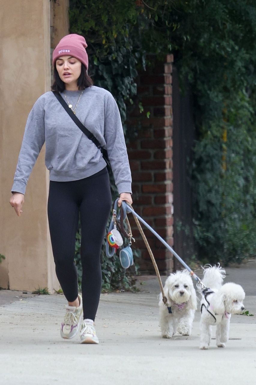 Lucy Hale Out With Her Dogs Los Feliz