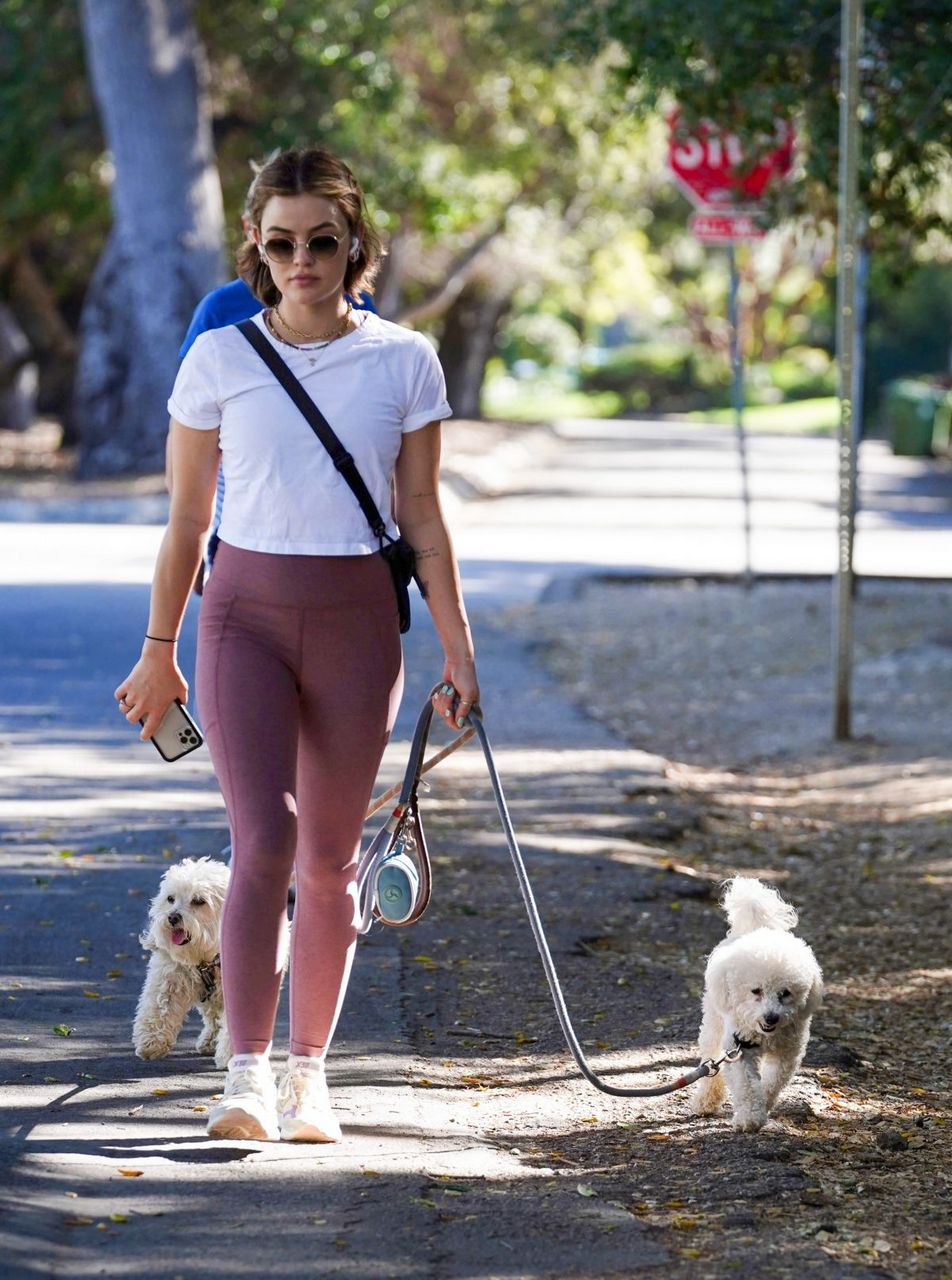 Lucy Hale Out With Her Dogs Studio City