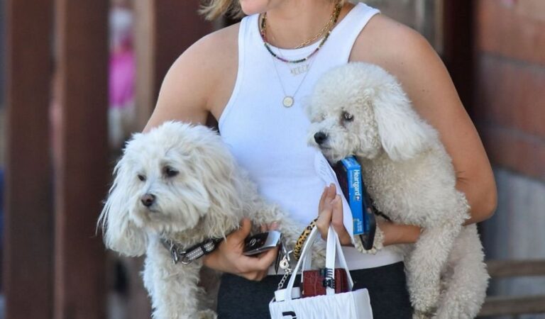Lucy Hale Takes Her Twod Dogs To Vet Los Angeles (7 photos)