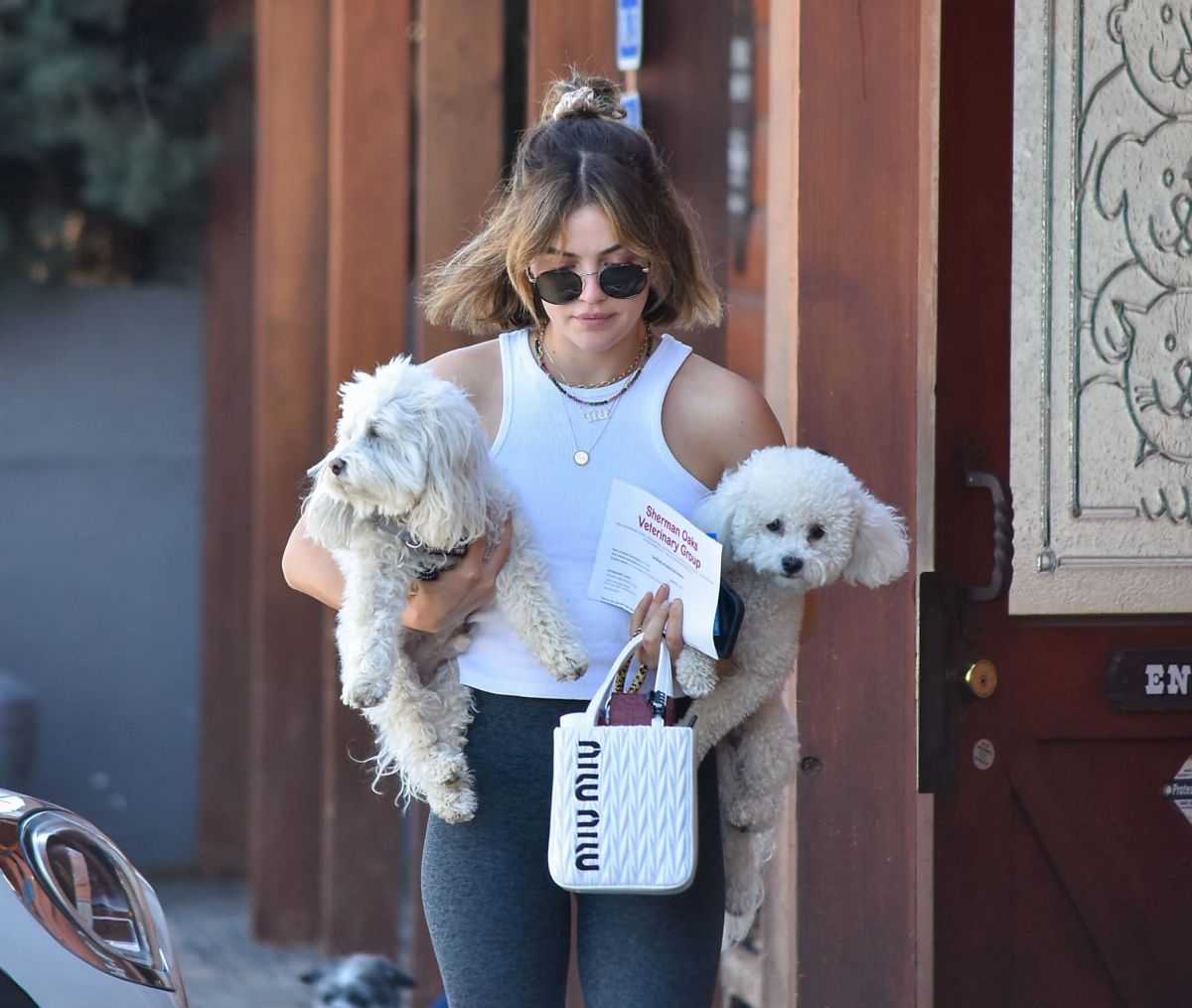 Lucy Hale Takes Her Twod Dogs To Vet Los Angeles