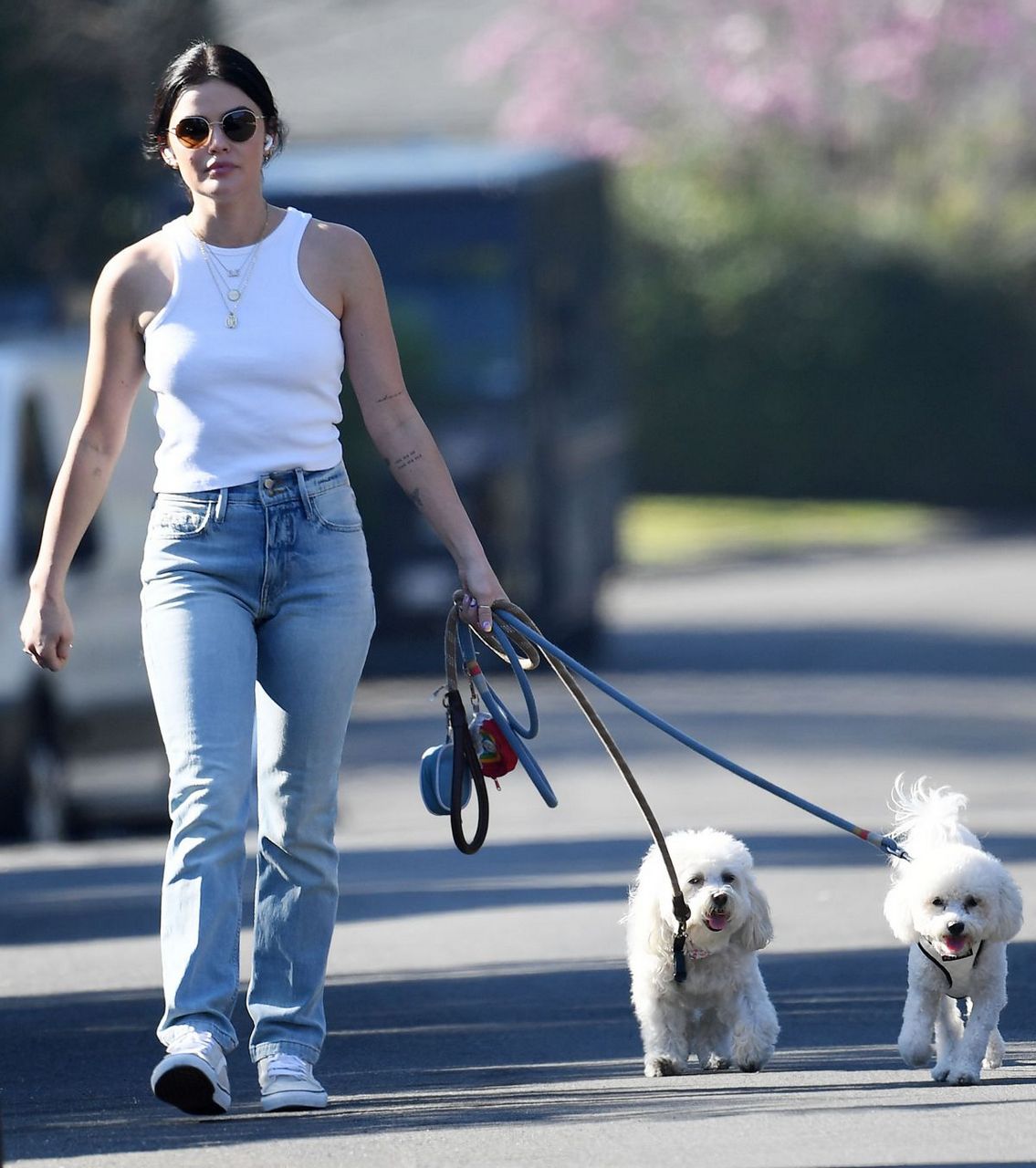 Lucy Hale Tight Denim Out With Her Dogs Los Angelis