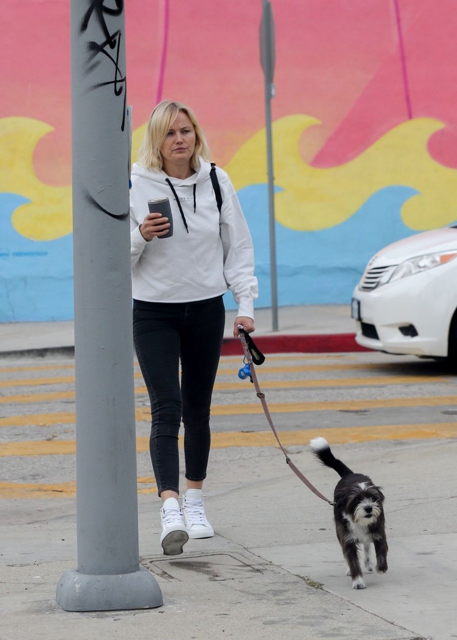 Malin Akerman Out With Her Dog Los Feliz