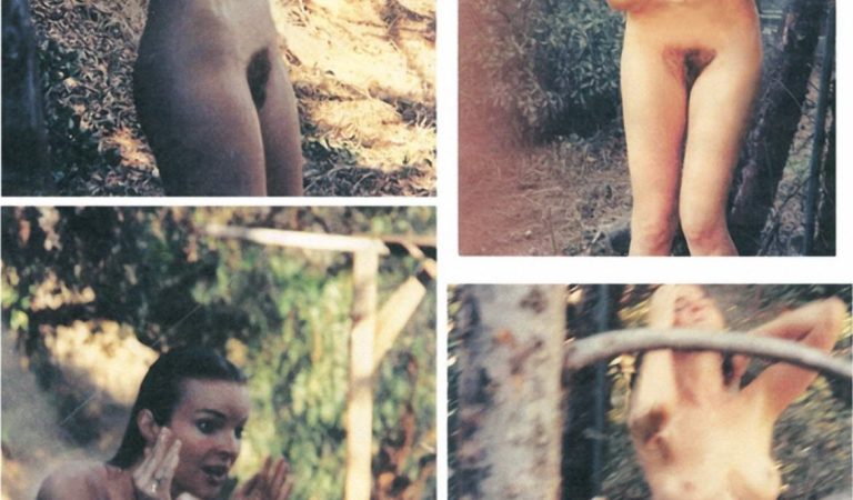 Marcia Cross Nude (2 photos)