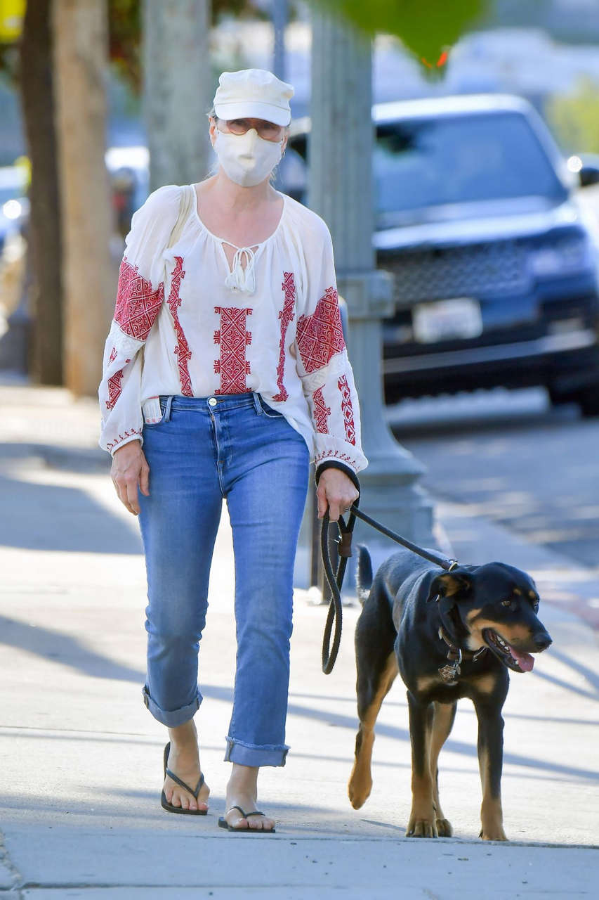 Meryl Streep Out With Her Dog Santa Monica