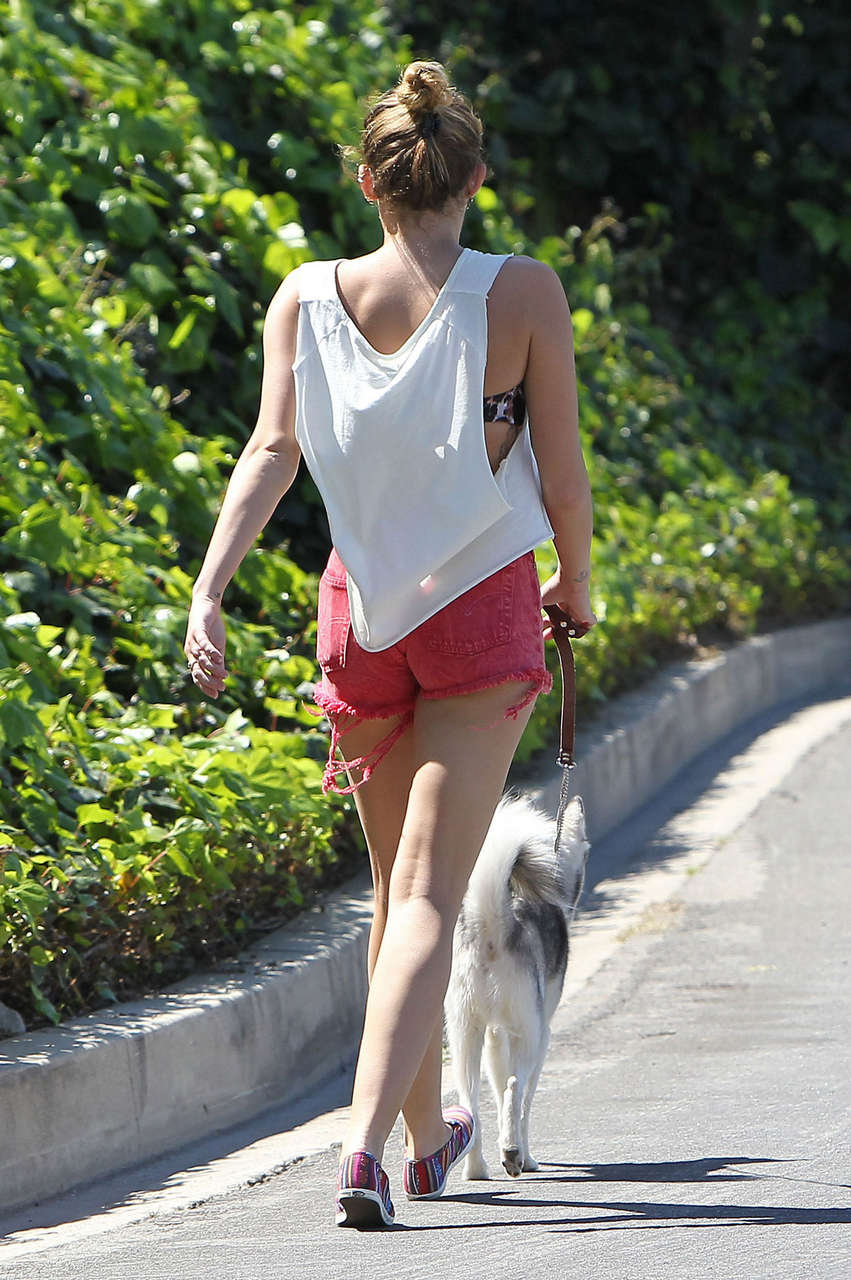 Miley Cyrus Goes Short Shorts Run With Her Dog Los Angeles