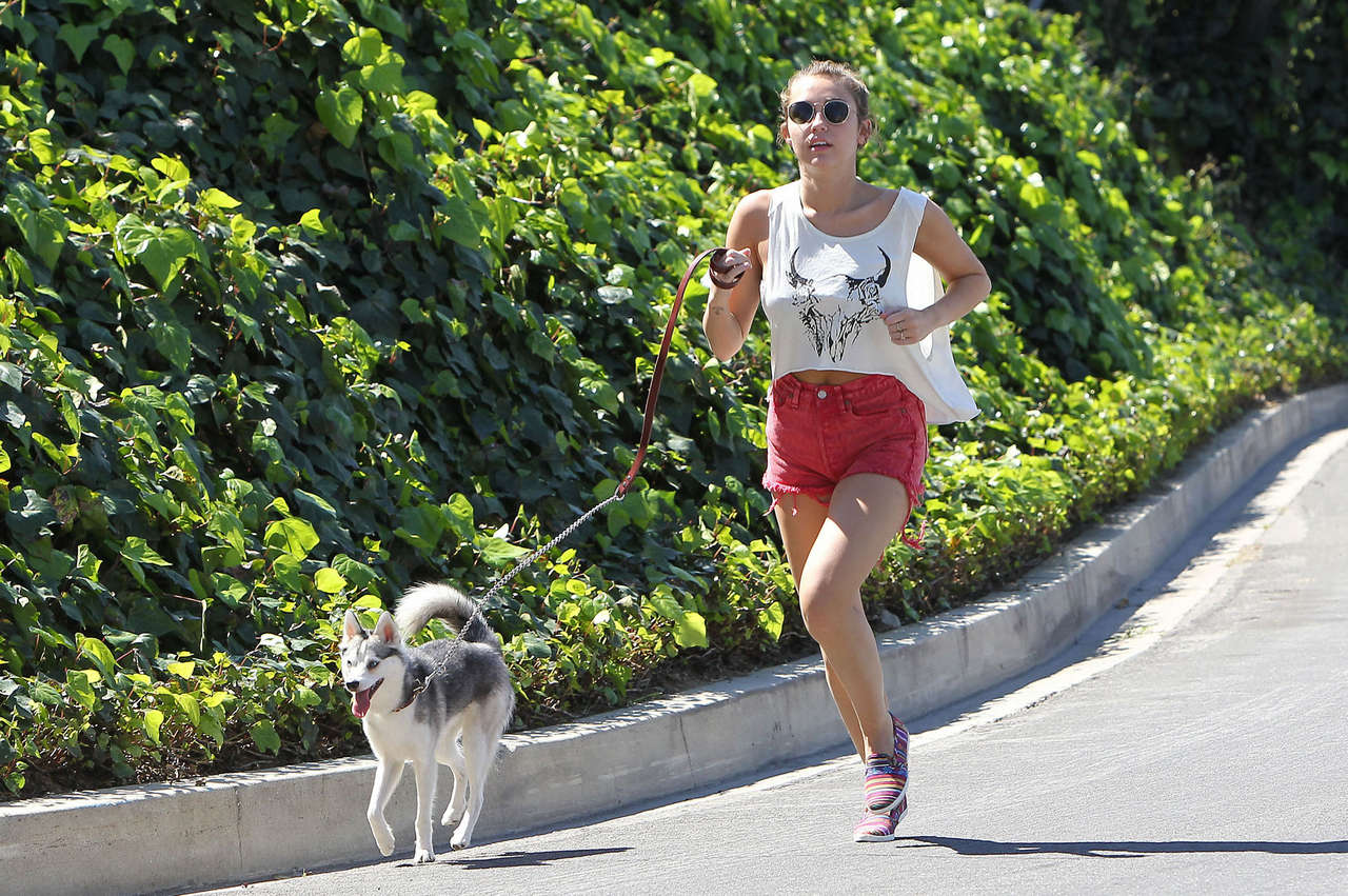 Miley Cyrus Goes Short Shorts Run With Her Dog Los Angeles