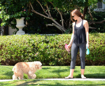 Minka Kelly Tight Out For Walking Her Dog Los Angeles