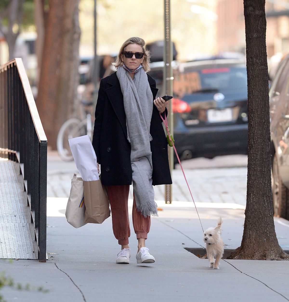 Naomi Watts Out With Her Dog New York
