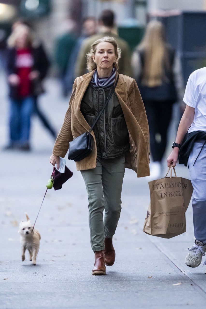 Naomi Watts Out With Her Dog New York