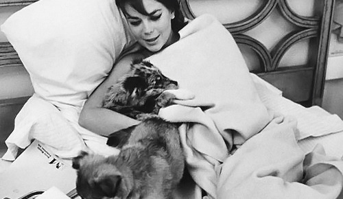 Natalie Wood Photographed By Bill Ray
