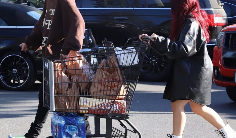 Nessa Barrett Out Shopping For Groceries West Hollywood (6 photos)