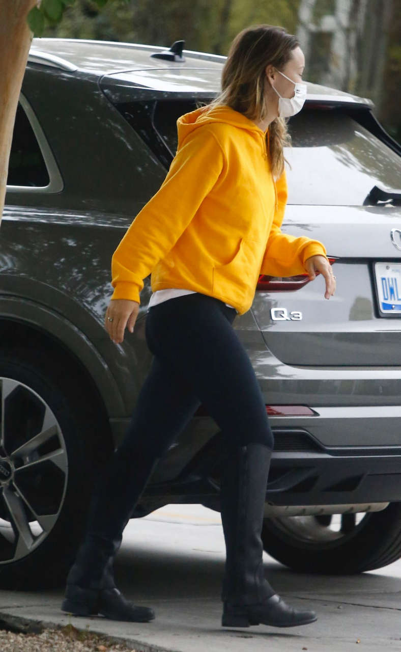 Olivia Wilde Out Los Angeles