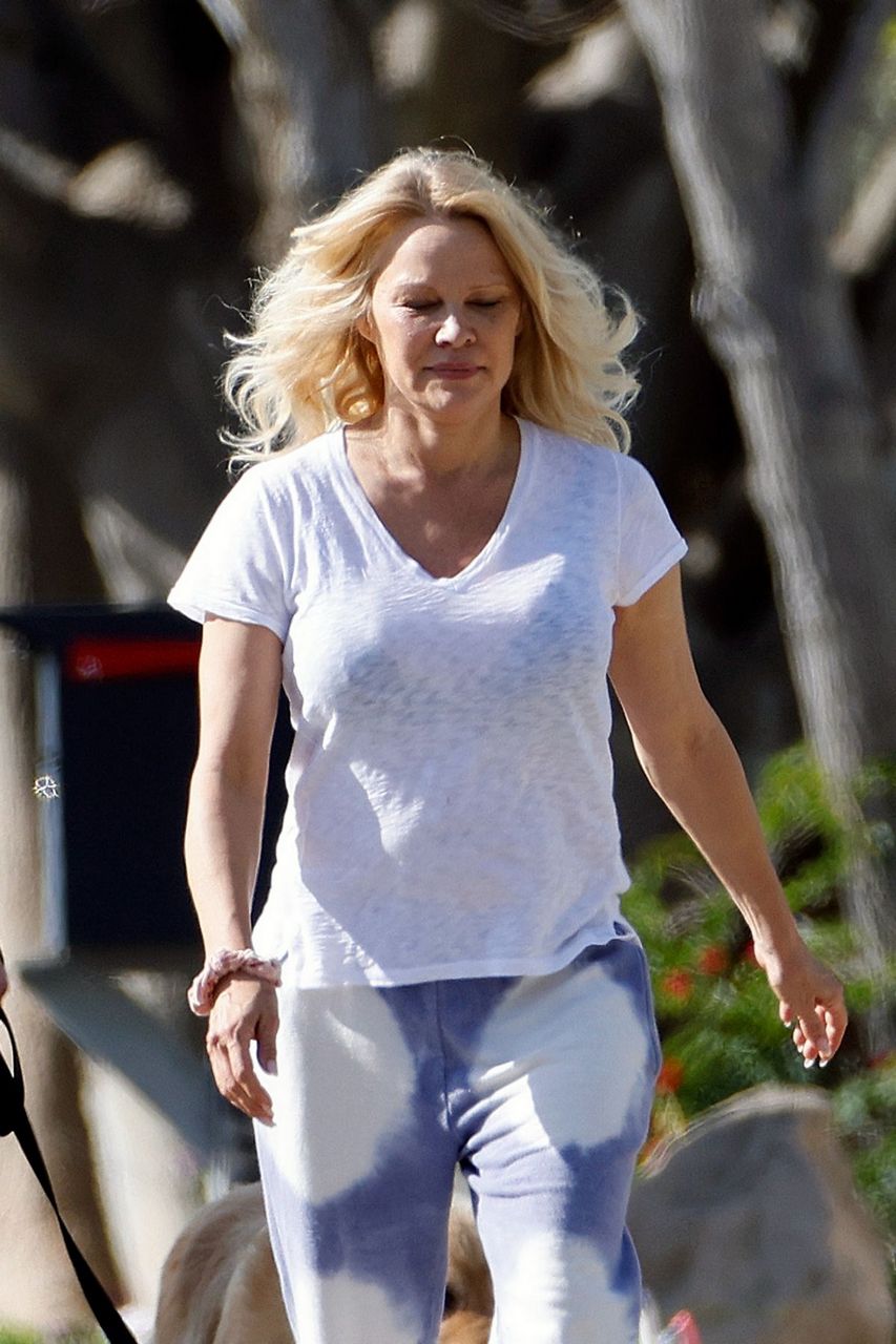 Pamela Anderson And Dan Hayhurst Out Malibu