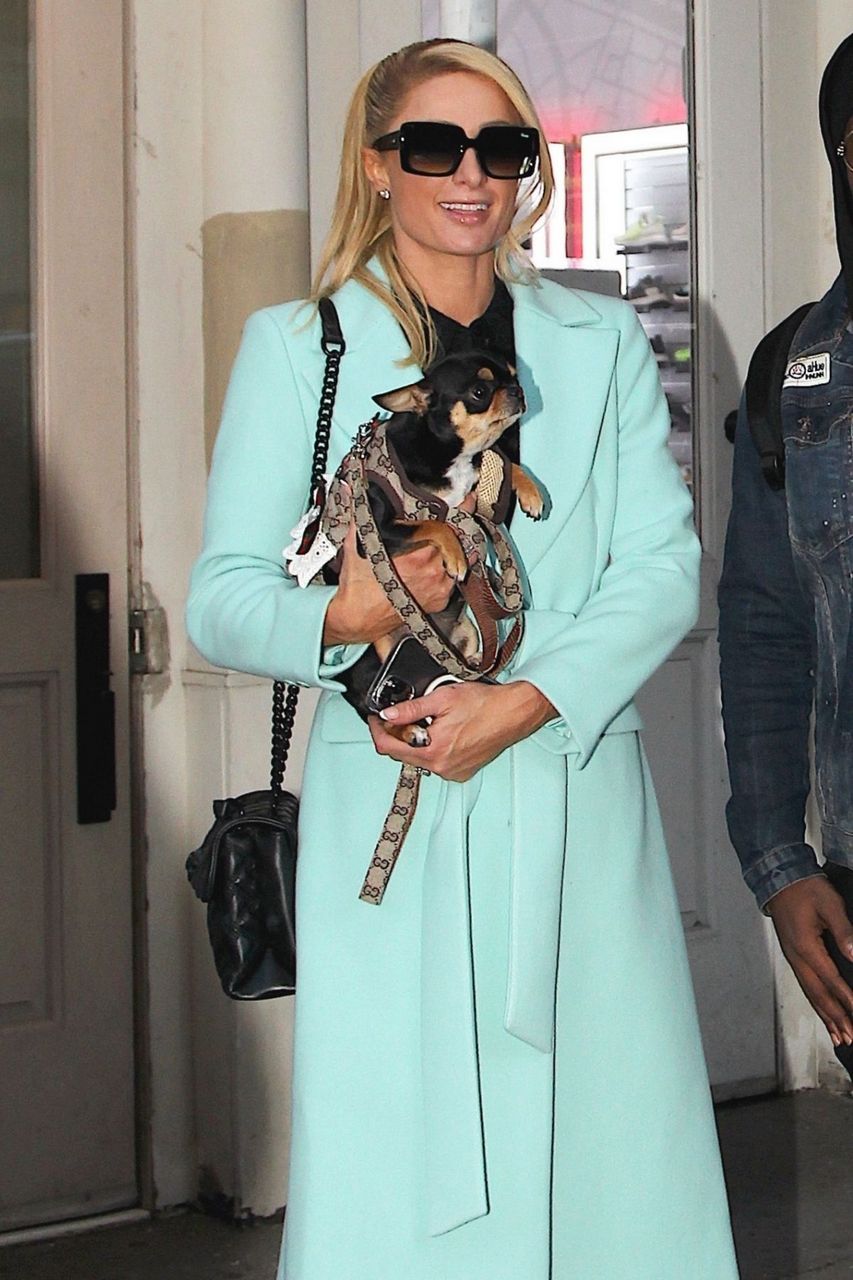 Paris Hilton Leaves Her Apartment New York
