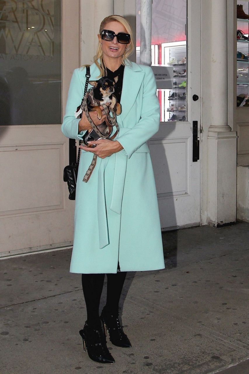 Paris Hilton Leaves Her Apartment New York