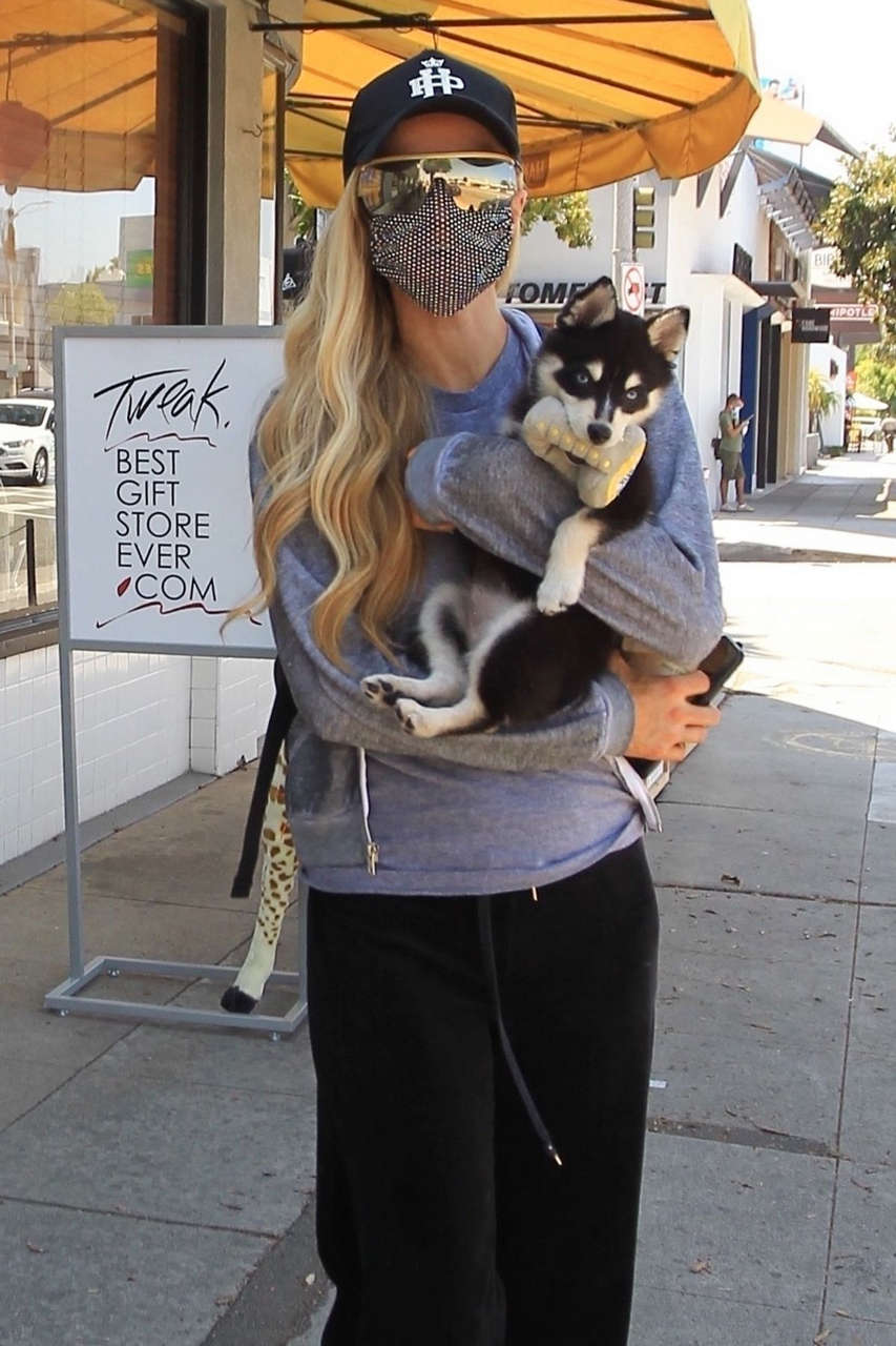 Paris Hilton Out Shopping With Her Dog Hollywood