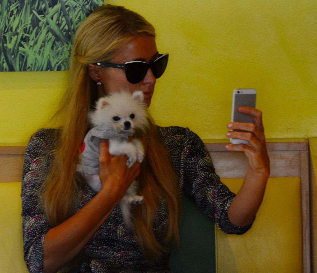 Paris Hilton With Her Dog Prince Hilton Out For Lunch